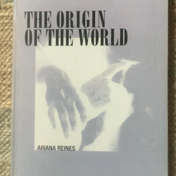 Ariana Reines - the Origin of the World